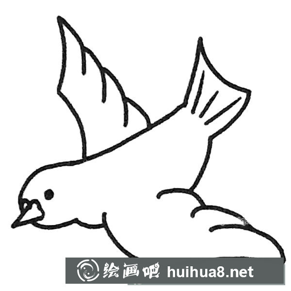 鴿子簡(jiǎn)筆畫(huà)圖片1