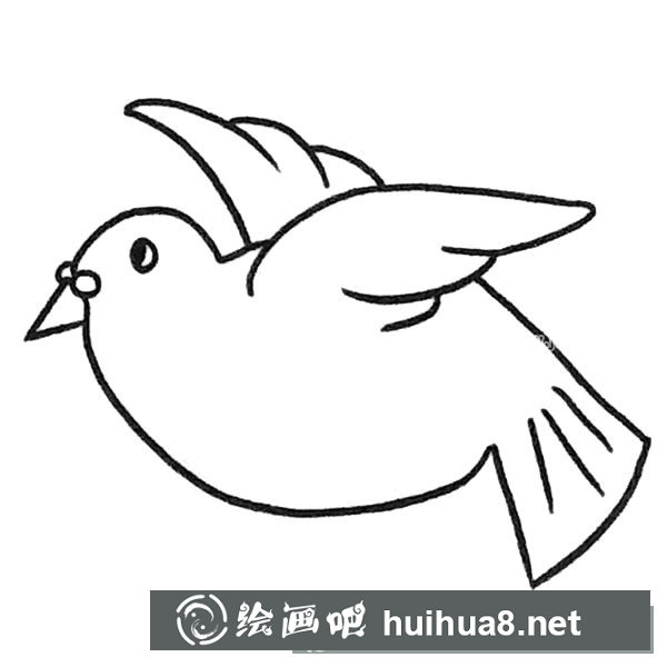 鴿子簡(jiǎn)筆畫(huà)圖片2