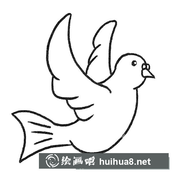 鴿子簡(jiǎn)筆畫(huà)圖片4