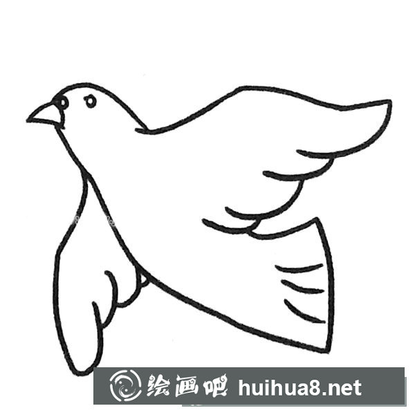 鴿子簡(jiǎn)筆畫(huà)圖片5