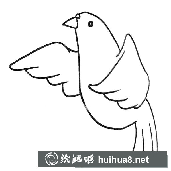 鴿子簡(jiǎn)筆畫(huà)圖片6