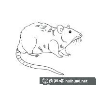 趣味長尾巴老鼠簡筆畫圖集
