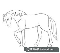 駿馬簡筆畫圖賞