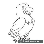 卡通老鷹簡筆畫藝術(shù)欣賞