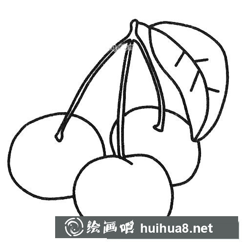 漂亮的櫻桃簡(jiǎn)筆畫圖片4