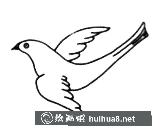 簡單的喜鵲簡筆畫圖片3