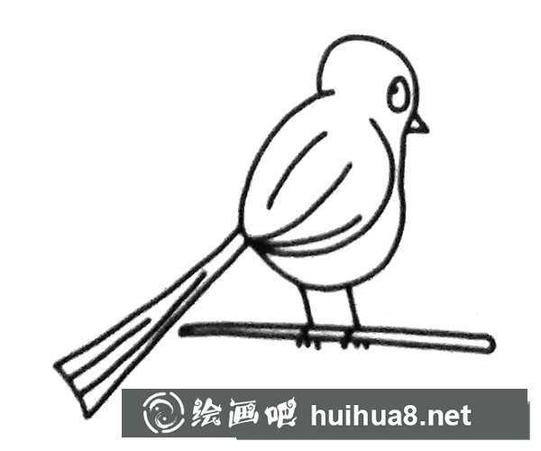 簡單的喜鵲簡筆畫圖片5