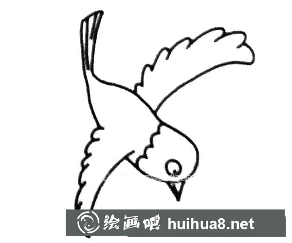 喜鵲簡筆畫圖片6