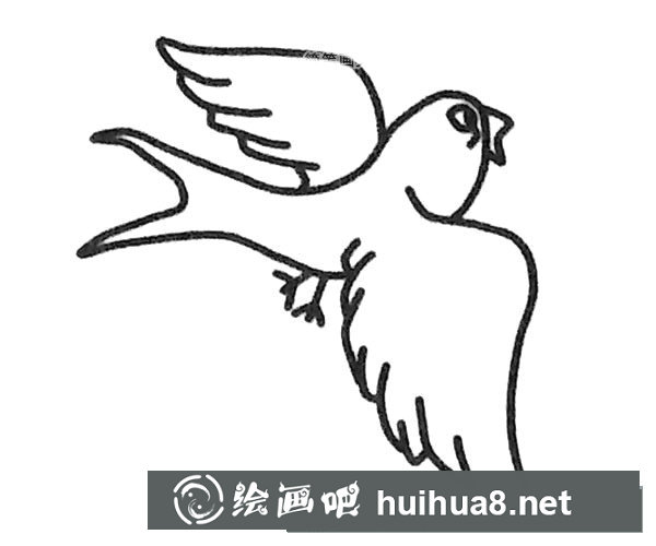小燕子簡筆畫步驟圖片4