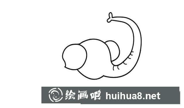 大象簡筆畫步驟圖片