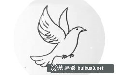 簡單鴿子簡筆畫步驟圖解教學(xué)