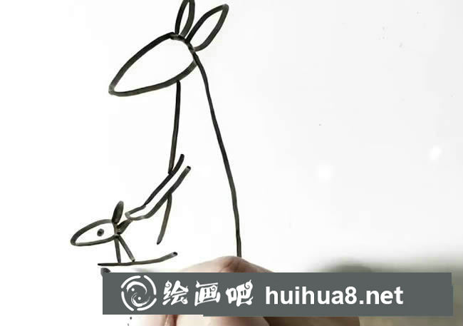 簡單的袋鼠簡筆畫畫法步驟圖片