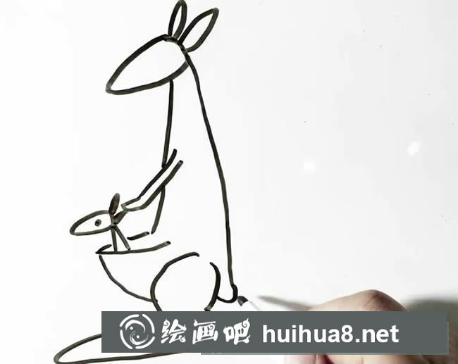 動物簡筆畫 袋鼠簡筆畫教學