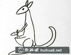 袋鼠簡筆畫步驟圖解