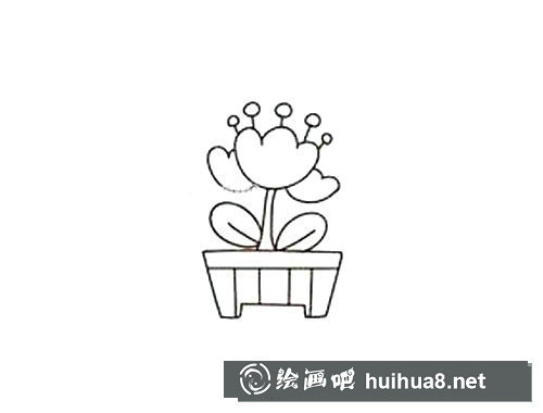 郁金香盆栽簡筆畫