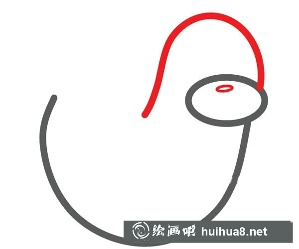 可愛的海豹簡筆畫步驟圖片