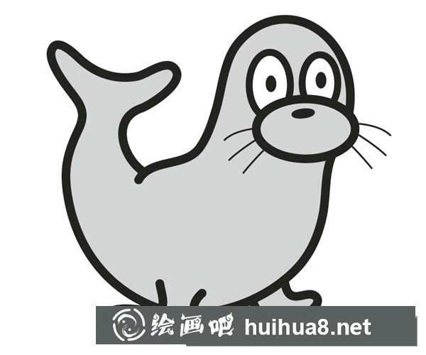 可愛的海豹簡筆畫步驟圖片