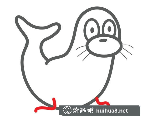 可愛的海豹簡筆畫步驟圖片