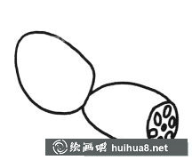 蓮藕畫法入門教程