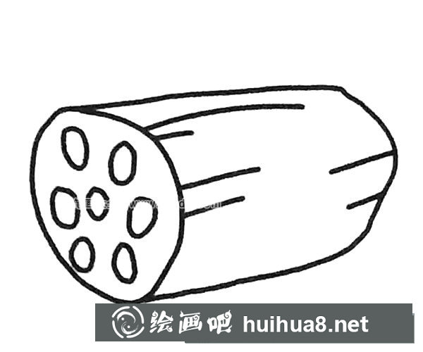 蓮藕簡(jiǎn)筆畫圖片3