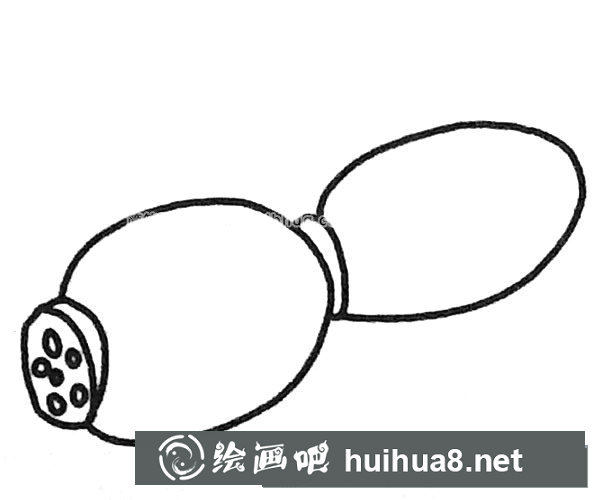蓮藕簡(jiǎn)筆畫圖片5