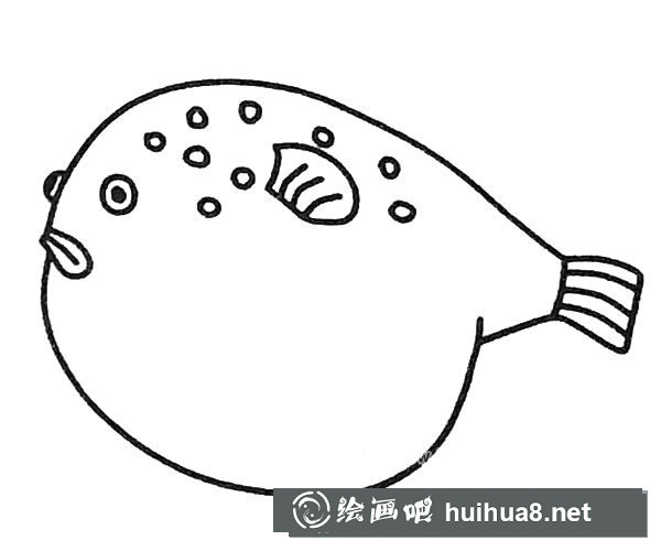 6款可愛的河豚簡筆畫圖片
