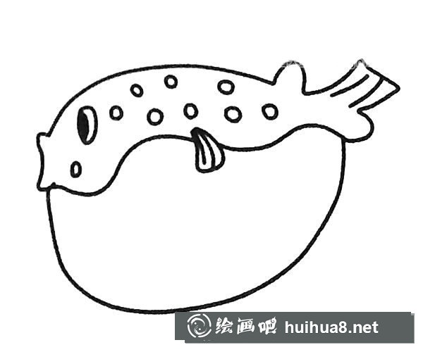 6款可愛的河豚簡筆畫圖片