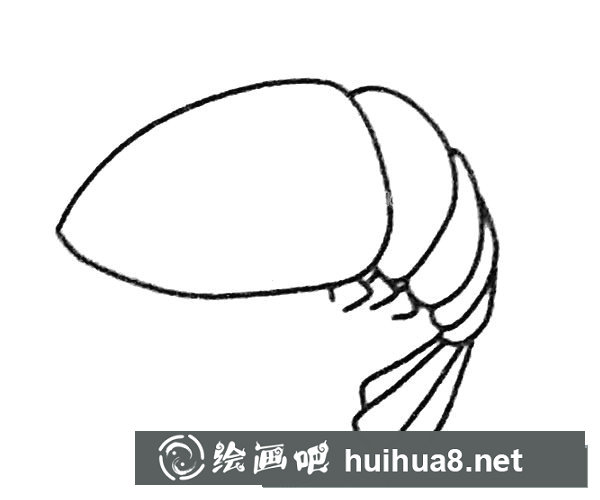 卡通蝦的簡筆畫步驟圖解