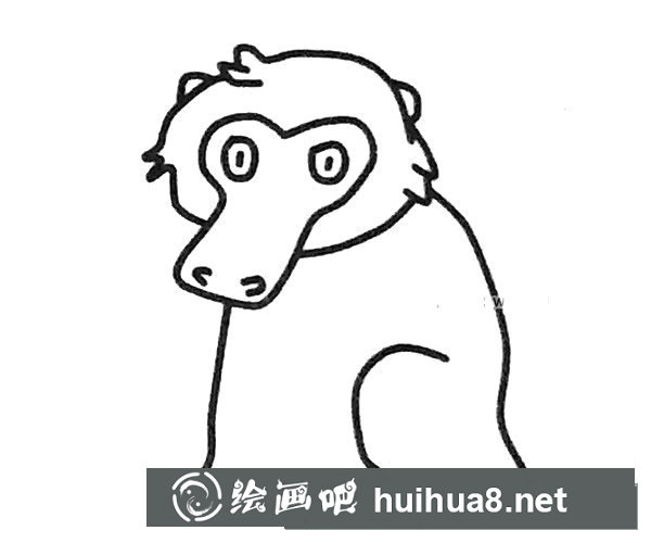狒狒簡筆畫圖片4
