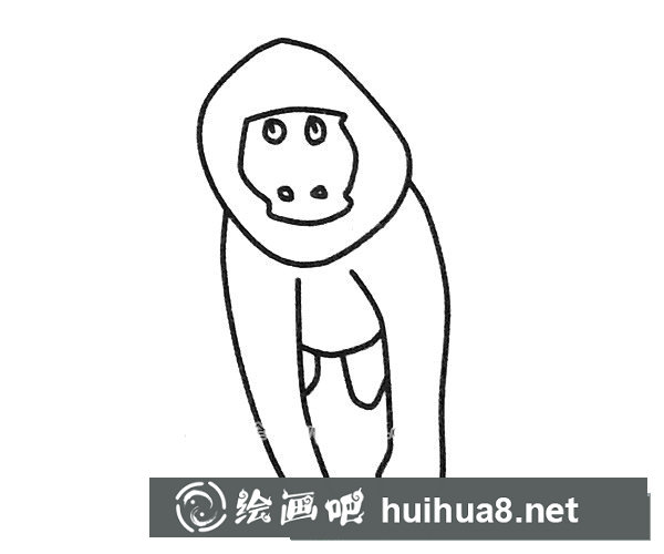 狒狒簡筆畫圖片6