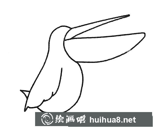 鵜鶘簡(jiǎn)筆畫步驟圖解2