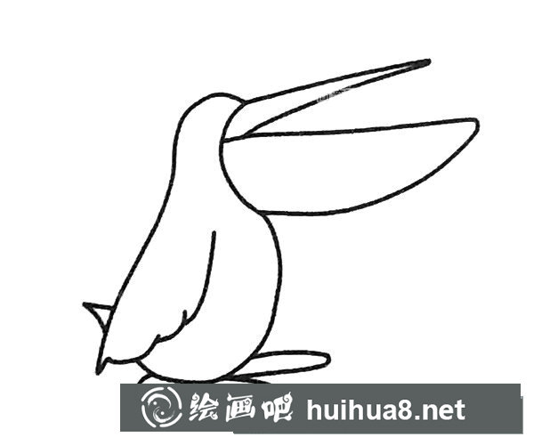 鵜鶘簡(jiǎn)筆畫步驟圖解3