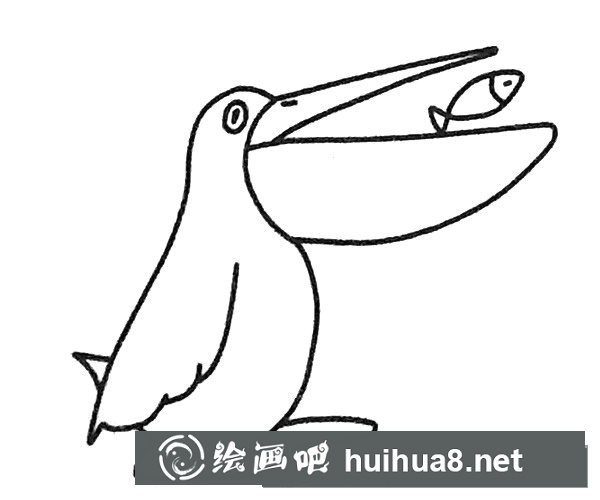 鵜鶘簡(jiǎn)筆畫步驟圖解4