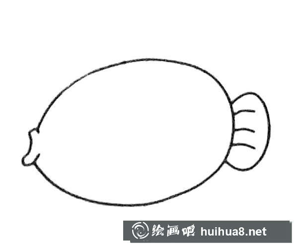 神仙魚簡(jiǎn)筆畫步驟2