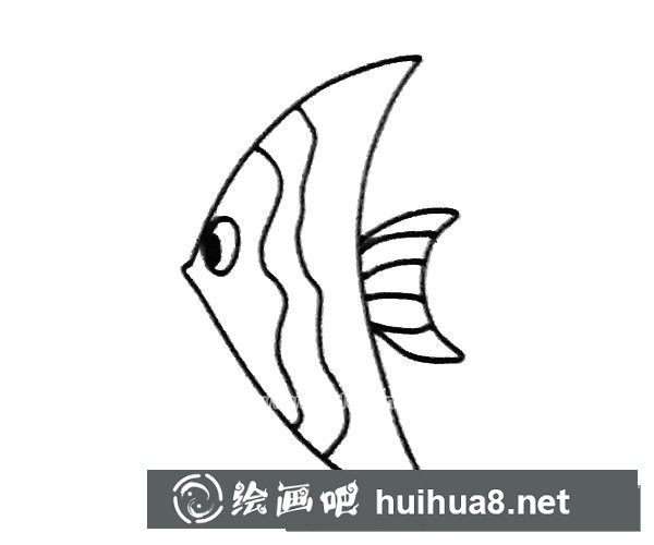 神仙魚簡筆畫圖片6