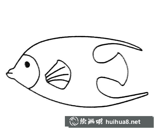 神仙魚簡筆畫圖片1