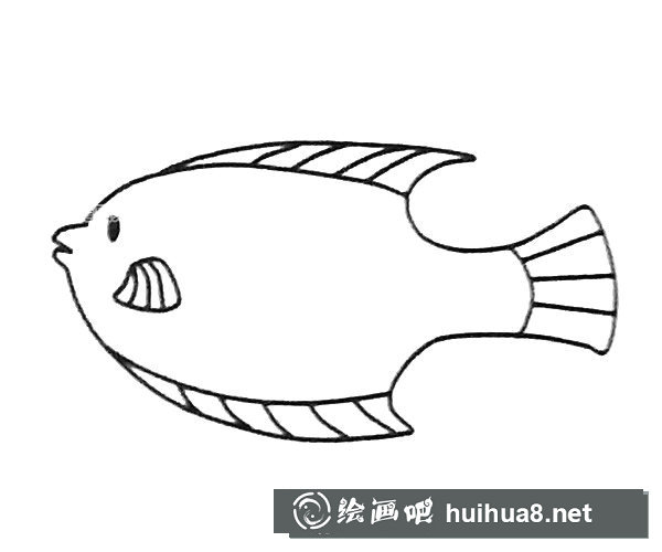 神仙魚簡筆畫圖片3