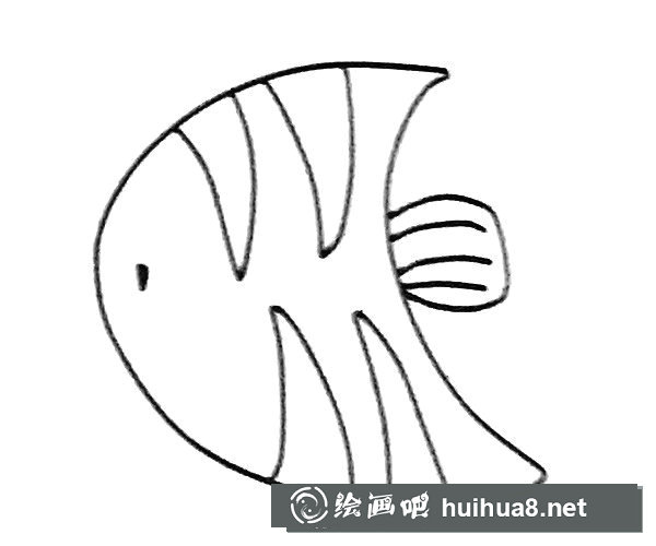 神仙魚簡筆畫圖片4