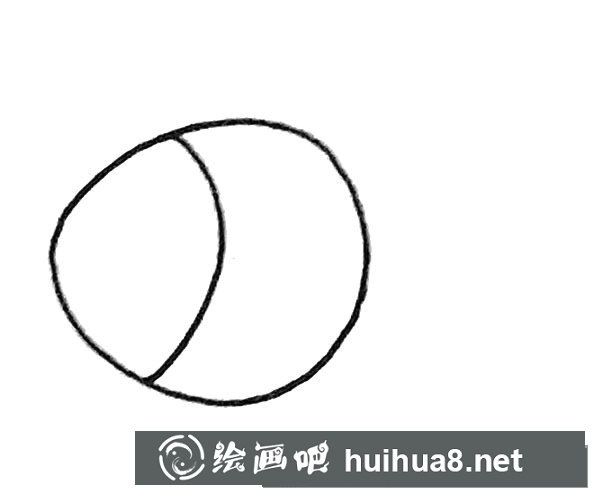 孔雀魚簡筆畫步驟2