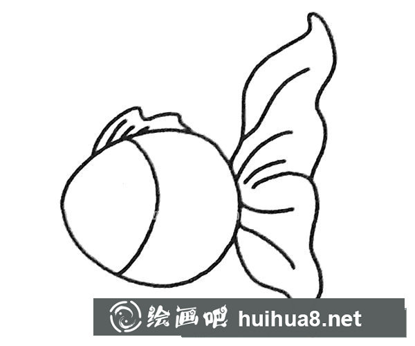 孔雀魚簡筆畫步驟3