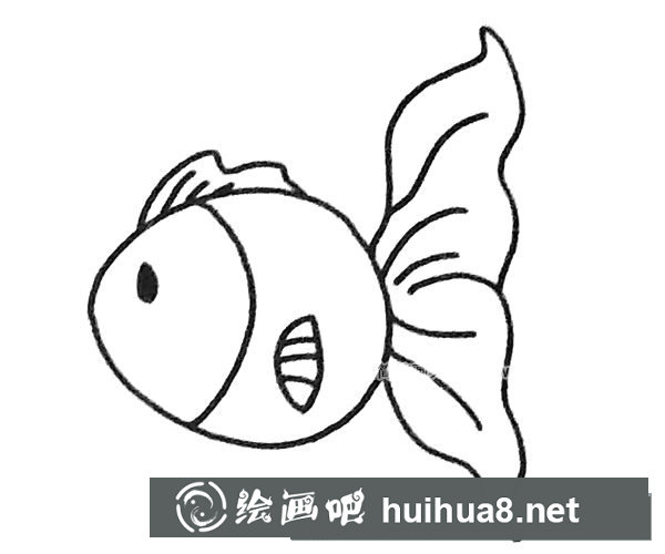 孔雀魚簡筆畫步驟4