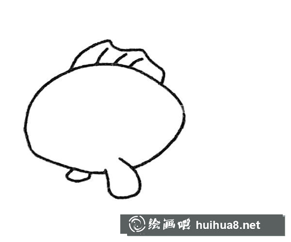 金魚簡筆畫步驟2