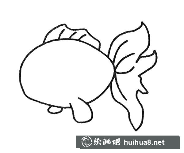 金魚簡筆畫步驟3