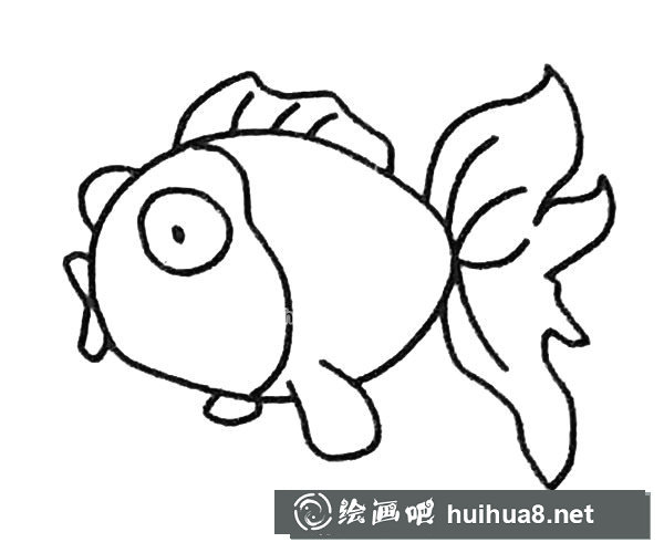 金魚簡筆畫步驟4