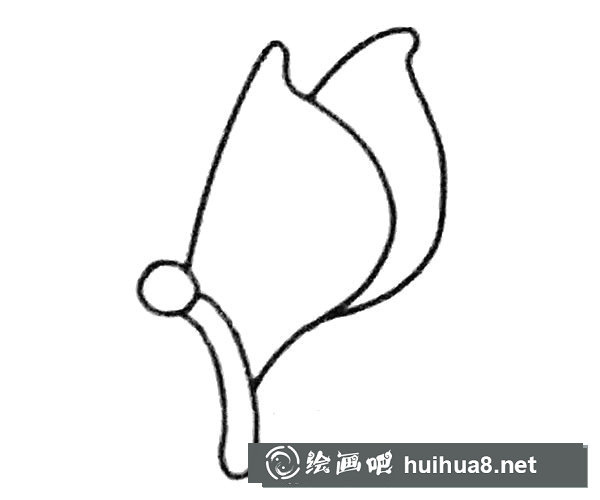 蝴蝶簡筆畫步驟2