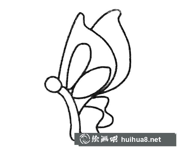 蝴蝶簡筆畫步驟3