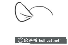 九步繪制袋鼠簡筆畫教程
