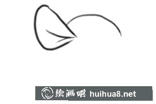 袋鼠怎么畫簡筆畫圖片