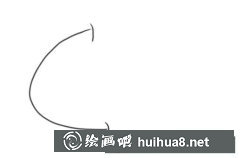 卡通鯨魚簡筆畫教程