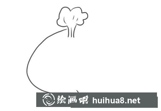 卡通鯨魚簡筆畫教程 卡通鯨魚簡筆畫怎么畫